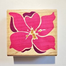 MARSH WILDFLOWER Posh Impressions Rubber Stampede Stamp Z377E Flower M777