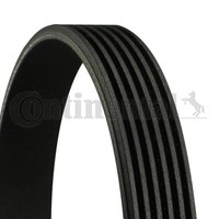 1X Continental Ctam 6PK1230 Keilrippenriemen FüR CitroëN Ford Fiat Volvo Mitsubi