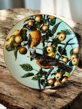 Vtg Portraits of Exquisite Birds Summer Gold the Robin Bradex Collector Plate on