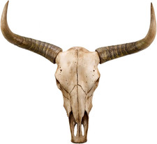 Cow Skull Wall Decor,Longhorn Skull Wall Decor Faux Longhorn Skull Faux Taxiderm
