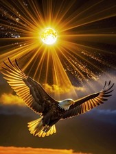 JXDXDJ Eagle Diamond Art Kits for Adults,Animal 5D Diamond Painting Kits for Beg
