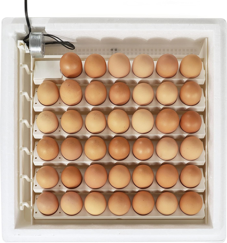 3200 Automatic 41 Spot Egg Turner, Eliminate Manual Handling & Improve Hatching - Picture 7 of 9