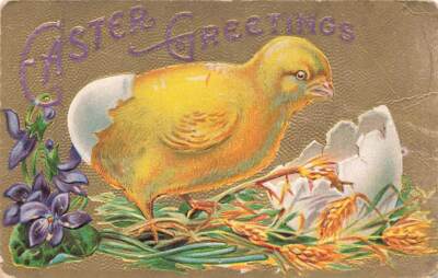 c1910  Chick Hatching From Shell Gold Background Easter Vintage P157