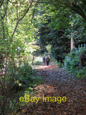 Photo 6x4 Path by the River Allen Ridley/NY7963 c2007 | eBay UK