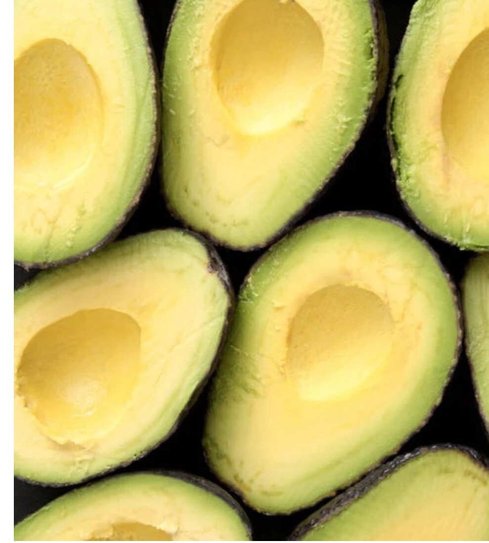 【avocado先生】 Day Avocado Tree Grafted 2-4 Ft Tall Cold Hardy. We Ship To CA &PR