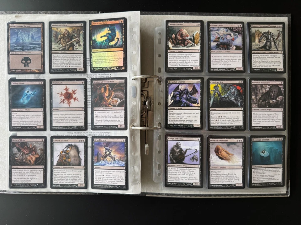 Coldsnap Komplett Set / Complete Set / Full Set - MTG Magic the Gathering