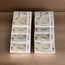 Dunhuang Pipa Strings 1, 2, 4, 5, 6, 7, 8  15 Dunhuang Style High-Quality NEW