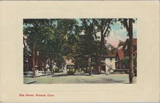 Elm Street Putnam Connecticut CT Trolley 1900s Postcard