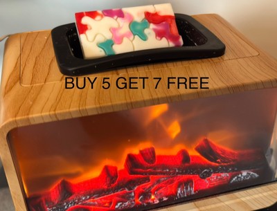 Wax Melts Snap Bars - verschiedene Düfte verfügbar - Luxus - Sojawachs - 20g Riegel