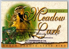 #3506f Great Plains Prairie Western Meadowlark Maxi Card