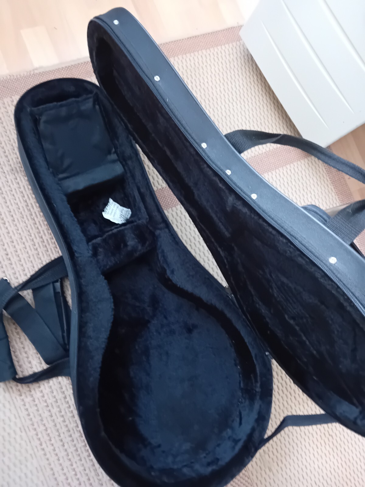 mandolin case eBay