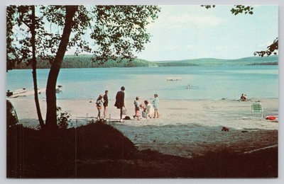 Lakeview Farm Great Moose Lake Harmony Maine Vintage Postcard Beach Scene