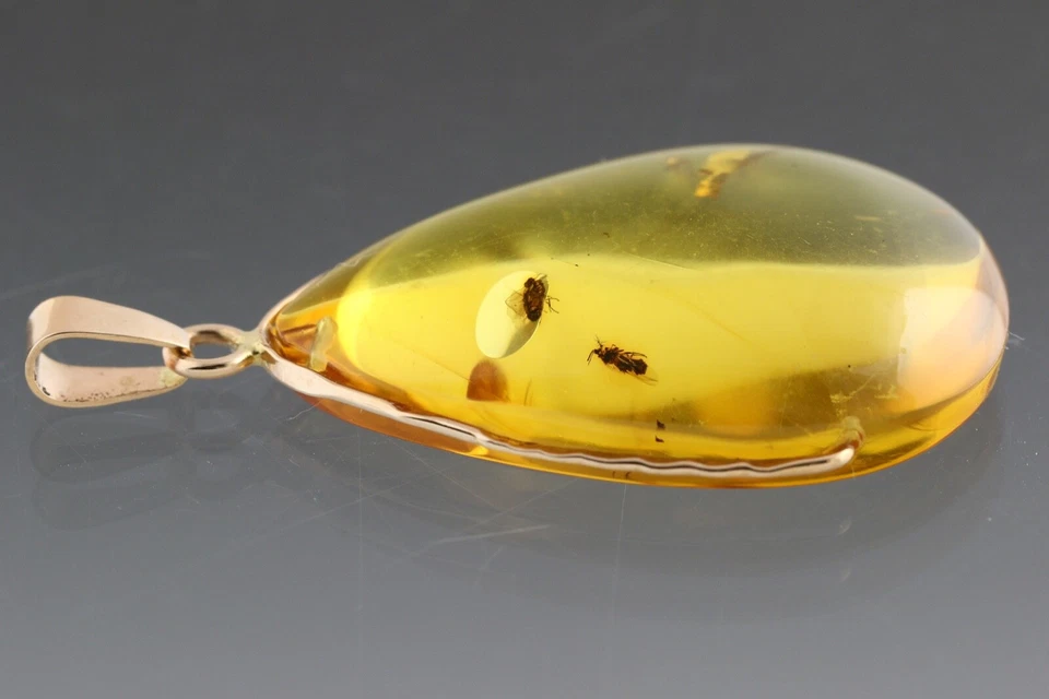 Colgante ÁMBAR BÁLTICO Genuino Oro 14K 3 Inclusiones de Insectos Fósiles 4.6g 191126-15 Foto 4 de 4