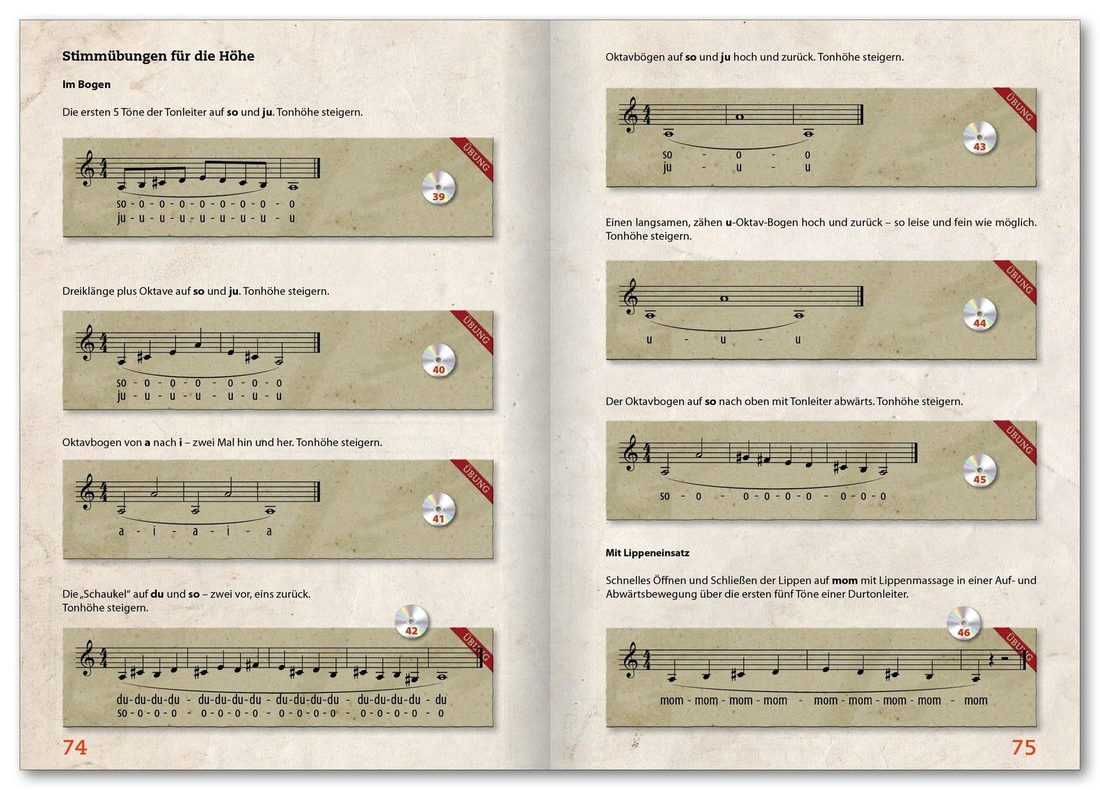 Thumbnail - Das Große Buch Der Stimme | Braun, Renate