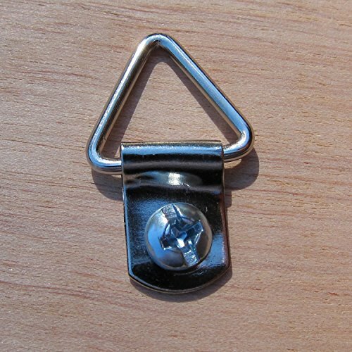 Frame Triangle Ring Hanger 100 Pack Small DRing Picture Hanger