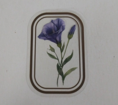 Eustoma Lisianthus Flower In Glass Window Transparent Sticker 2.25'' x 1.58'' (U)