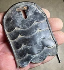 Epaulette scale portion-Found Ft. Craig New Mexico in the 1960's