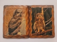 Owl Pictures Wall Decoration Set Of 2 8x6
