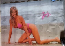 Vintage Original Cindy Margolis Beach Bikini Poster  Star Makers 32 x 22 #2505