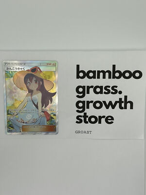 Pokemon Card Sightseer 192/173 Full Art SR Tag Team GX All Stars