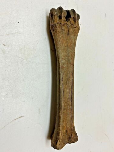 Animal Remains Art. Bone Column Idol. Paleolithic - Neolithic