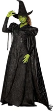 Spirit Halloween Wicked: for Good Adult Elphaba Costume Deluxe, Officially Licen