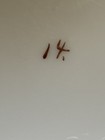 Bild 21 von 24