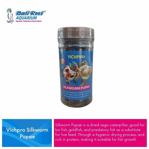 Silk Worm Pupae Freeze Dried For Koi Pond Fish Turtles Large Fish 75 Gram Ebay Silk Worm Pupae Freeze Dried For Koi Pond Fish Turtles Large Fish 75 Gram Ebay