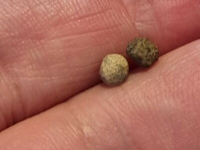 #ad Exceptional Very Rare Viking polyhedral weights. A must read description LA101p GBP 38.00