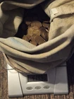 4+ lbs Estate Hoard Lincoln Wheat Pennies Bulk Lot Unsearched Vintage 500+ Cents