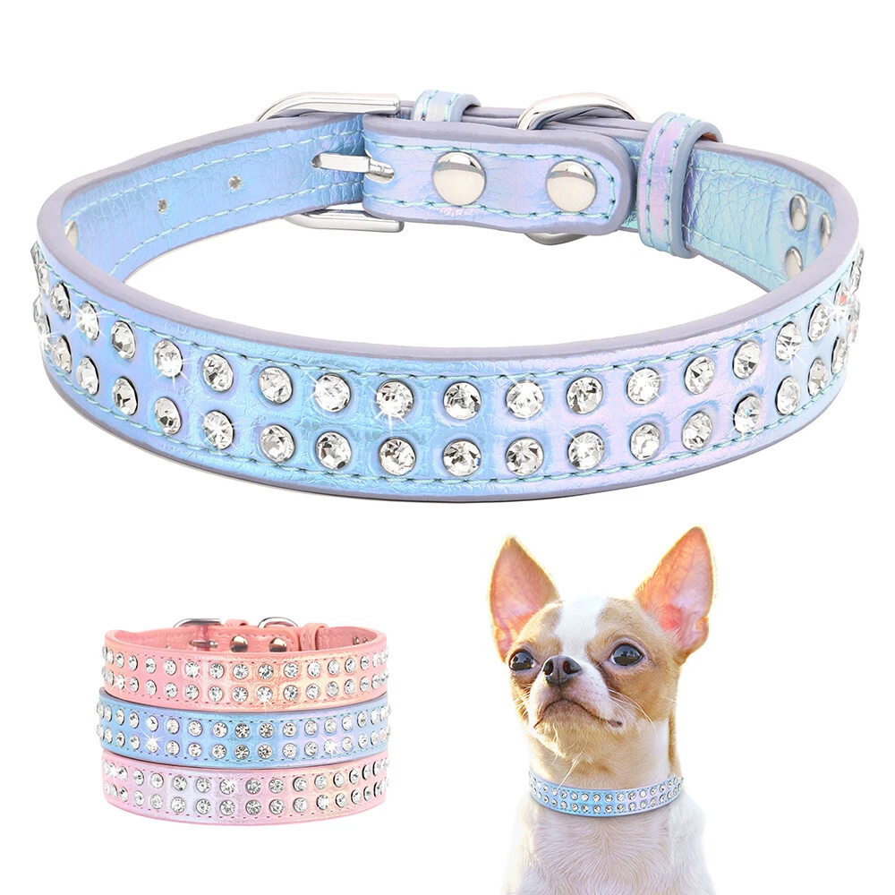 Custom Small Large Dog Collar and Leash and Harness Set Free Laser  Engraving