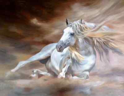 MQ546 Stretched Canvas Frame / Unframed Handmade  Animals Horse Oil Painting Art