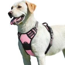 rabbitgoo Dog Harness with 2 Leash Clips Adjustable Soft Padded Vest Reflective