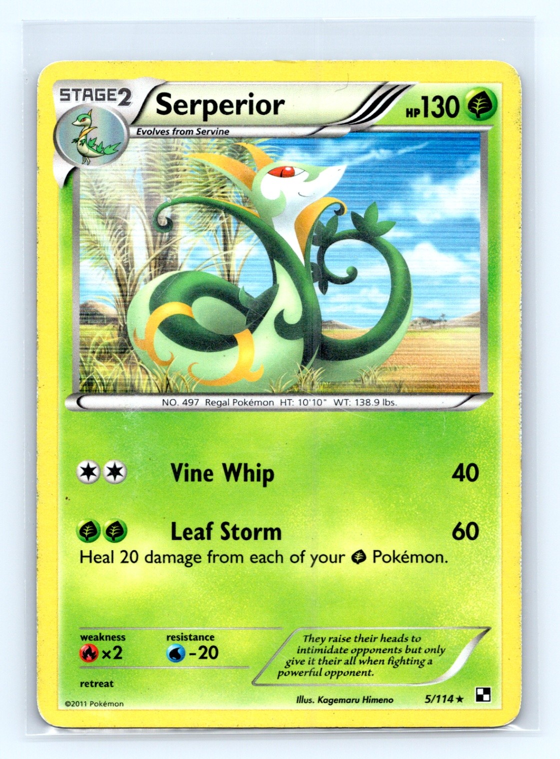 Pokemon Black and White Serperior Holo 5/114