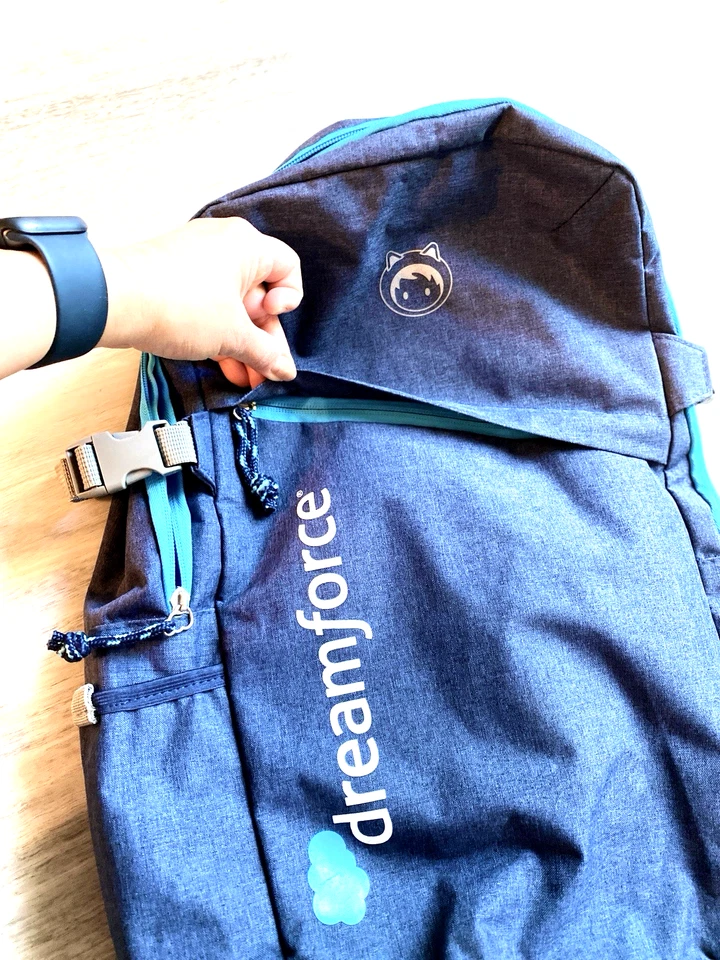 Рюкзак Salesforce Dreamforce сумка для ноутбука для взрослых Blaze Your Trail - Изображение 4 из 4