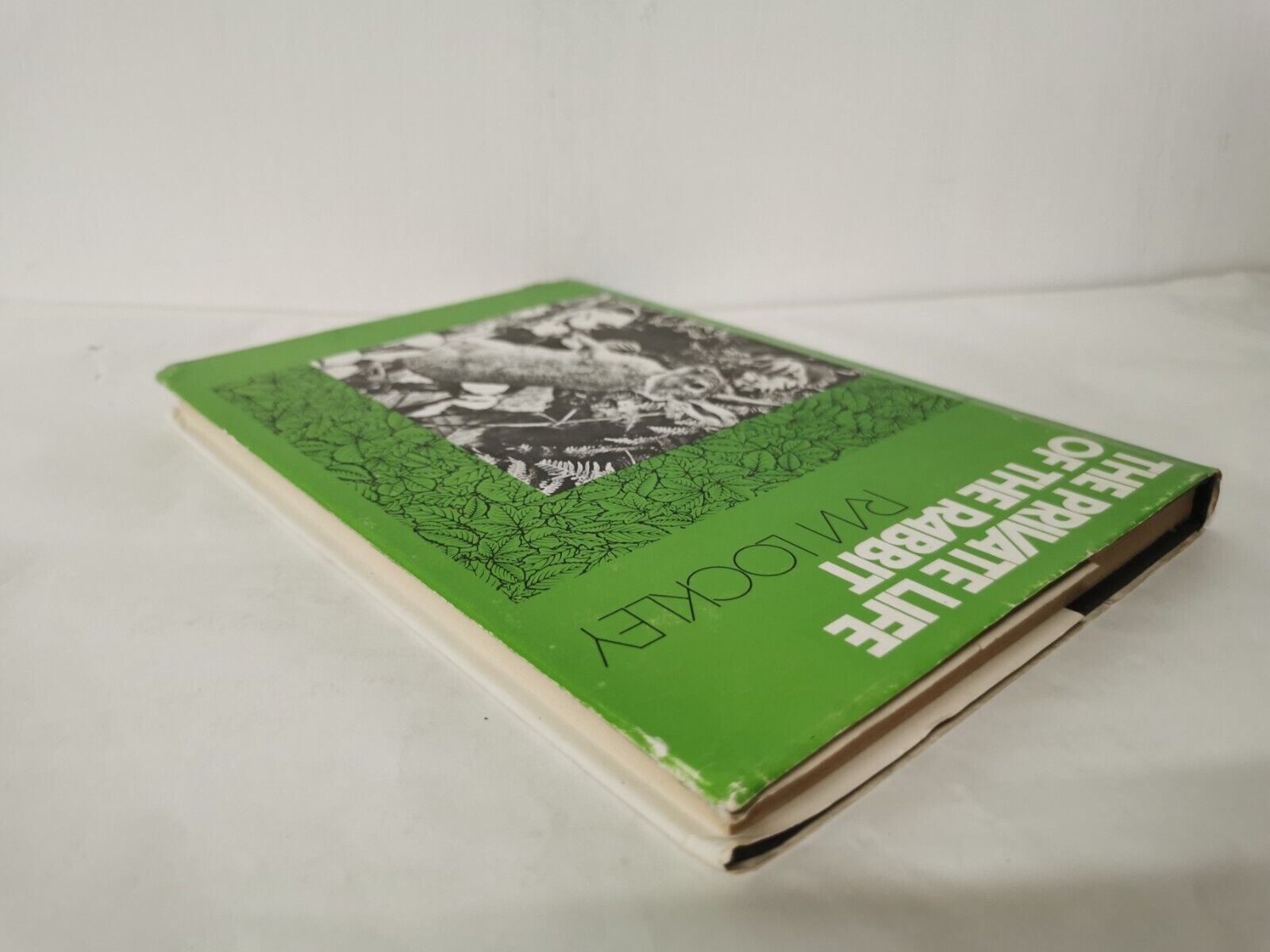 The Private Life Of The Rabbit, R. M. Lockley, Readers Union, 1976 eBay