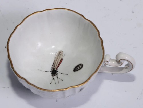 Meissen Porcelain Fruit, & Bugs Tea Cup & Saucer 1740 - Picture 4 of 18