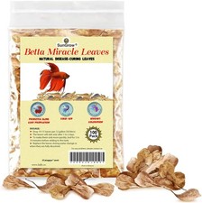SunGrow 100 pcs Catappa Indian Almond Leaves for Betta Fish Tank Brown
