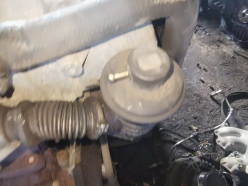 AGR Ventil Abgasrückführungsventil  Citroen Xsara DE1178949-86