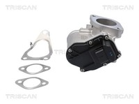 AGR Ventil Triscan 8813 25201 FüR Renault BM0 Megane Laguna KM0 JM0 ScÉNic LM0 2