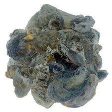 Pond Planet Oyster Shells 2kg | Filter Media | Pond Buffer