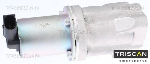 Triscan 881343009 Agr-Ventil AGR Ventil AbgasrüCkfüHrventil-image