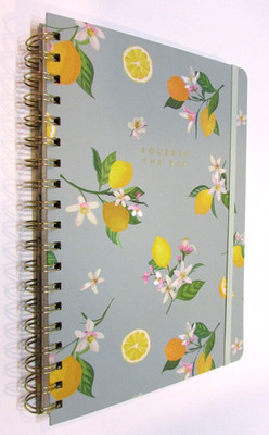 New 2023 Target Threshold Spiral Bound 7x10 hc 240 pg Squeeze The Day Diary etc