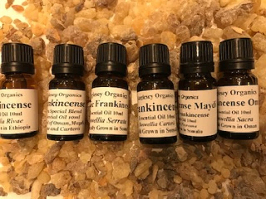 ANGLESEY ORGANICS FRANKINCENSE ESSENTIAL OIL: OMAN/MAYDI/CARTERII/RIVAE/SERRATA/SPECIAL BLEND 10ML