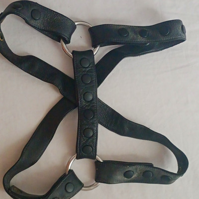 Party Leder Hartness Leder Schwarz