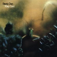 Katy Lied von Steely Dan | CD | Zustand sehr gut