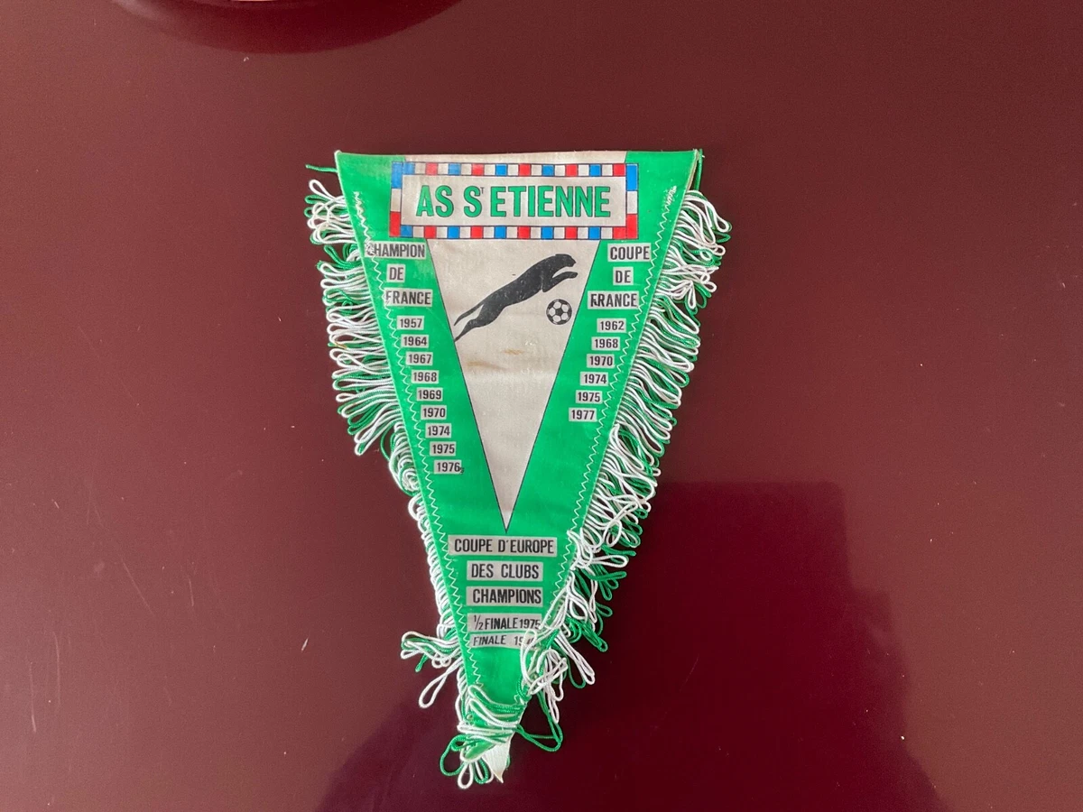 Poster / Page Affiche - Équipe ASSE SAINT-ETIENNE 1974 - Verts