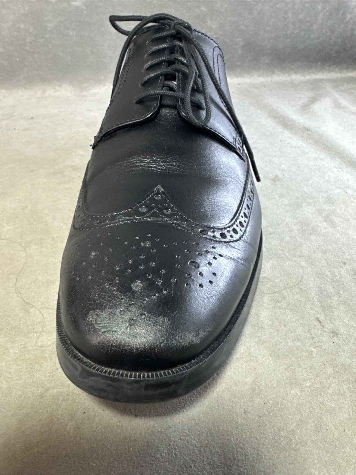 SAOLA Mocassino Cole Haan Grand.OS C23793 D18 nero con punta alare da uomo US 11 M Oxford