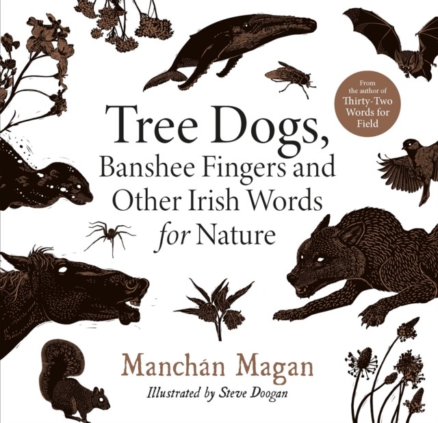Tree Dogs, Banshee Fingers and Other Irish Words for Nature by Manchán Magan - Image 10