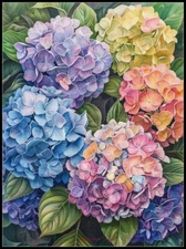 Colorful Hydrangeas - Chart Counted Cross Stitch Patterns Needlework DMC Color